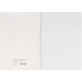 Тетрадь общая Полином Графо А4 48 листов в клетку на спирали (обложка серая)