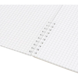 Тетрадь общая Полином Графо А4 48 листов в клетку на спирали (обложка серая)