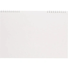 Тетрадь общая Полином Графо А4 48 листов в клетку на спирали (обложка серая)