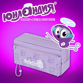 Пенал ЮНЛАНДИЯ ЮНИОР, 2 отделения, "Cool vibes", 21х9х8 см, 273821