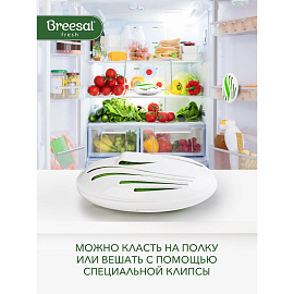 Дезодоратор для холодильника Breesal 80 г (B/8001)