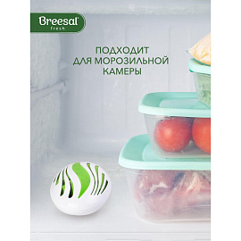 Дезодоратор для холодильника Breesal 80 г (B/8002)