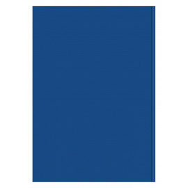 Журнал регистрации приказов (96 листов, сшивка, обложка бумвинил)