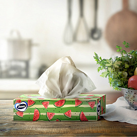 Салфетки косметические Zewa Everyday 2-слойные (100 штук в упаковке)