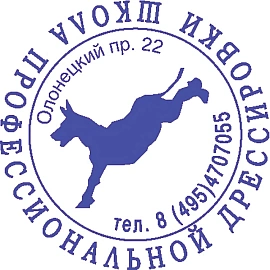 Оснастка для печати овальная Colop Stamp Mouse 40 мм с крышкой синяя фото Оснастка для печати овальная Colop Stamp Mouse 40 мм с крышкой синяя
