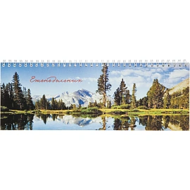 Планинг недатированный Attache Economy картон 295х100 мм 56 листов с рисунком