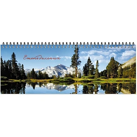 Планинг недатированный Attache Economy картон 295х100 мм 56 листов с рисунком