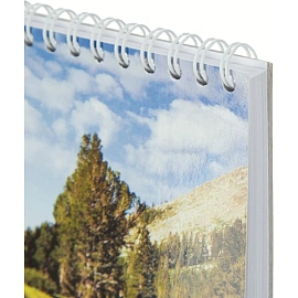 Планинг недатированный Attache Economy картон 295х100 мм 56 листов с рисунком