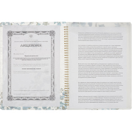 Папка файловая на 5 файлов Attache Selection Bloom А4 10 мм белая (толщина обложки 0,4 мм)