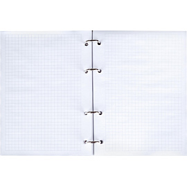 Тетрадь на кольцах со сменным блоком Canbe Cats А5 120 листов с рисунком в клетку, Soft Touch