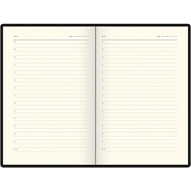 Ежедневник недатированный Bruno Visconti Boston искусственная кожа А5 136 листов чёрный (зелёный обрез), 3-228/04