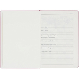 Ежедневник недатированный Bruno Visconti Madrid искусственная кожа Soft Touch А5 136 листов розовый