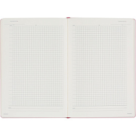 Ежедневник недатированный Bruno Visconti Madrid искусственная кожа Soft Touch А5 136 листов розовый