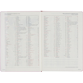 Ежедневник недатированный Bruno Visconti Madrid искусственная кожа Soft Touch А5 136 листов розовый