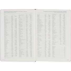 Ежедневник недатированный Bruno Visconti Madrid искусственная кожа Soft Touch А5 136 листов розовый