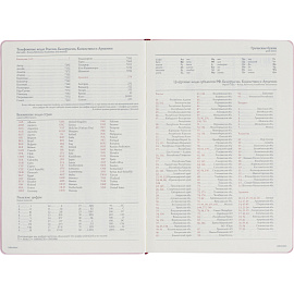 Ежедневник недатированный Bruno Visconti Madrid искусственная кожа Soft Touch А5 136 листов розовый