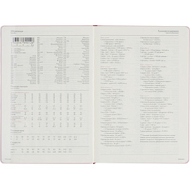 Ежедневник недатированный Bruno Visconti Madrid искусственная кожа Soft Touch А5 136 листов розовый