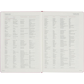 Ежедневник недатированный Bruno Visconti Madrid искусственная кожа Soft Touch А5 136 листов розовый