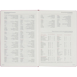 Ежедневник недатированный Bruno Visconti Madrid искусственная кожа Soft Touch А5 136 листов розовый