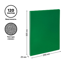 Папка на 2 кольцах СТАММ А4, 25мм, 500мкм, пластик, зеленая фото Папка на 2 кольцах СТАММ А4, 25мм, 500мкм, пластик, зеленая