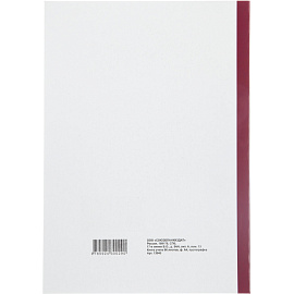 Книга учета 96 листов А4 пустографка на скрепке блок офсет Attache (обложка - картон)