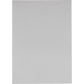 Картон белый Выбор есть (А4, 100 листов, мелованный)