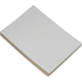 Картон белый Выбор есть (А4, 100 листов, мелованный)