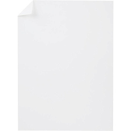 Ватман бумага чертежная Выбор есть А4 100 листов, размер 21x29.7 cм, 190 г/кв.м, белизна 100