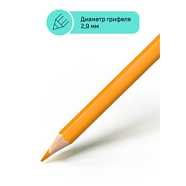 Карандаши цветные Гамма "Хобби. Лесной пейзаж", 12цв., заточен., ПВХ, европодвес