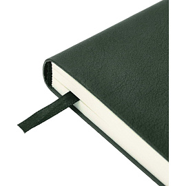 Ежедневник недатированный Bruno Visconti Primavera искусственная кожа А5 136 листов зелёный