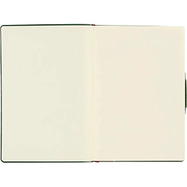 Ежедневник недатированный Bruno Visconti Primavera искусственная кожа А5 136 листов зелёный