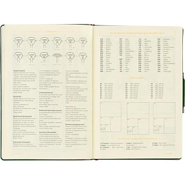 Ежедневник недатированный Bruno Visconti Primavera искусственная кожа А5 136 листов зелёный