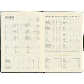 Ежедневник недатированный Bruno Visconti Primavera искусственная кожа А5 136 листов зелёный