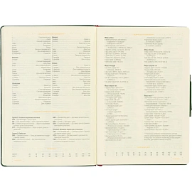 Ежедневник недатированный Bruno Visconti Primavera искусственная кожа А5 136 листов зелёный