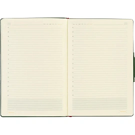 Ежедневник недатированный Bruno Visconti Primavera искусственная кожа А5 136 листов зелёный