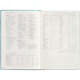 Ежедневник недатированный Bruno Visconti Madrid искусственная кожа Soft Touch А5 136 листов чёрный, 3-227/04