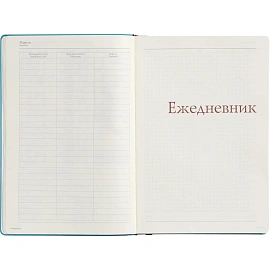 Ежедневник недатированный Bruno Visconti Madrid искусственная кожа Soft Touch А5 136 листов чёрный, 3-227/04
