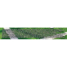 Семена газонной травы Газонcity Sport Meister Gras 1 кг