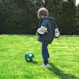 Семена газонной травы Газонcity Sport Meister Gras 1 кг