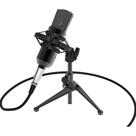 Микрофон Ritmix RDM-160 (80000132) фото Микрофон Ritmix RDM-160 (80000132)