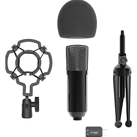 Микрофон Ritmix RDM-160 (80000132) фото Микрофон Ritmix RDM-160 (80000132)