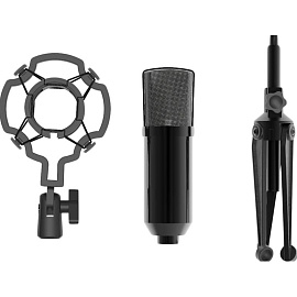 Микрофон Ritmix RDM-160 (80000132) фото Микрофон Ritmix RDM-160 (80000132)