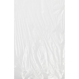 Пакет фасовочный ПВД 20 мкм 25х40 см (500 штук в пласте)