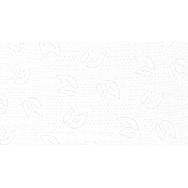 Бумага туалетная рулонная Protissue T2 1-слойная белая 12 рулонов по 200 метров (С231)