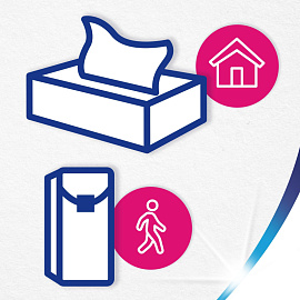 Салфетки косметические Zewa Everyday 2-слойные (250 штук в упаковке)