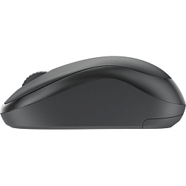 Комплект беспроводной клавиатура и мышь Logitech MK295 (920-009807)