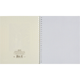 Тетрадь общая Attache А5 60 листов в клетку на спирали (обложка с рисунком, УФ-сплошной глянцевый лак)