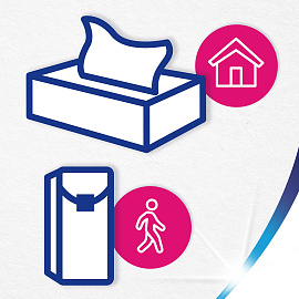 Салфетки косметические Zewa Everyday 2-слойные (250 штук в упаковке)