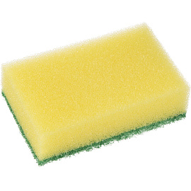 Губка для посуды Paclan поролон 8x5 см с абразивным слоем (10 штук в упаковке)