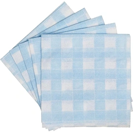 Салфетки хозяйственные Paclan Soft Сlean вискоза 35x35 см 50 г/кв.м (5 штук в упаковке)